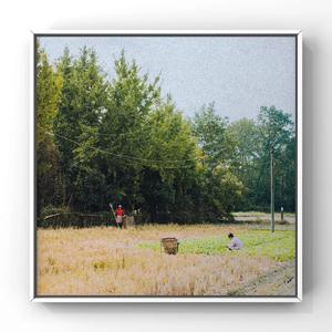 91视频免费网页版
