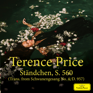 91视频免费网页版
