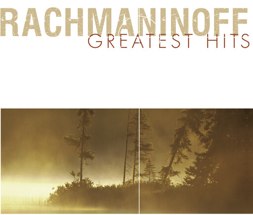 91视频免费网页版
